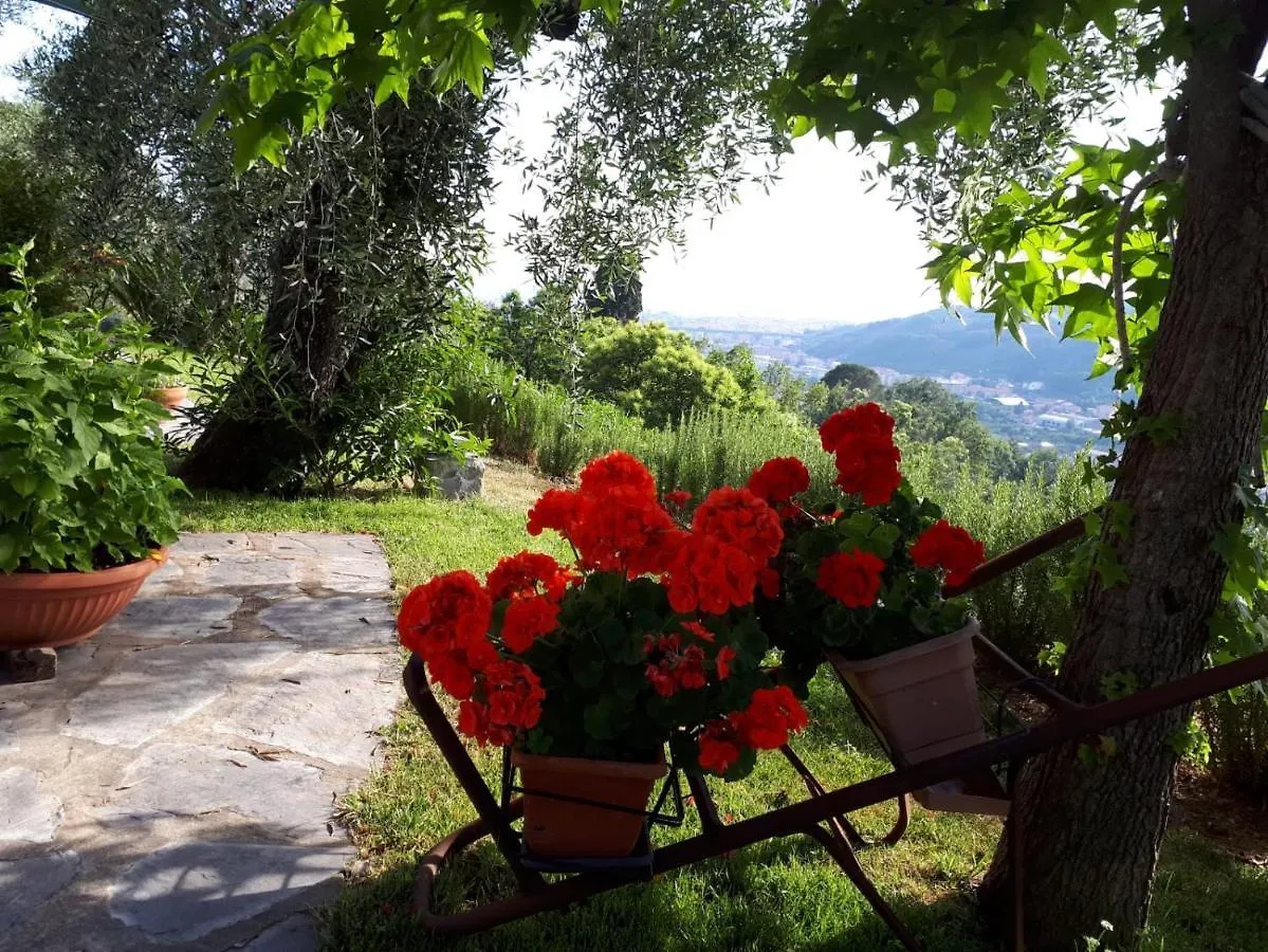 La Gatta Sul Sentiero Bed & Breakfast San Salvatore  0*, San Salvatore (Genoa)
